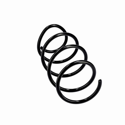 ARC SPIRAL EIBACH R10875 12