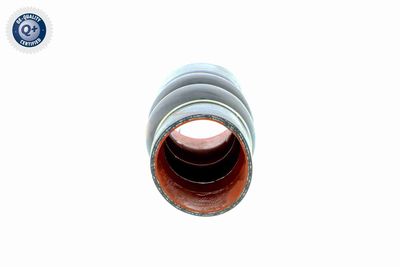 LADELUFTSCHLAUCH VAICO V250949 1