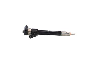 INJECTOR REMANTE 002003002220R 38