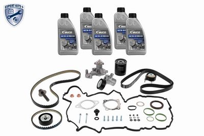 SET CUREA DE DISTRIBUTIE VAICO V253148