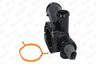 FLANSA LICHID RACIRE BIRTH 81059 10