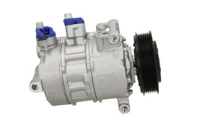 COMPRESOR CLIMATIZARE BV PSH 090445006876 3