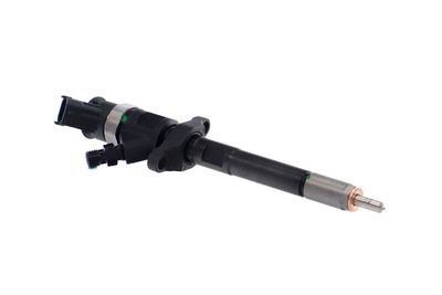 INJECTOR REMANTE 002003001727R 48