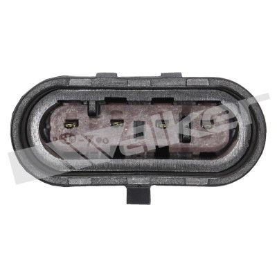 LAMBDASONDE WALKER PRODUCTS 25024311 2