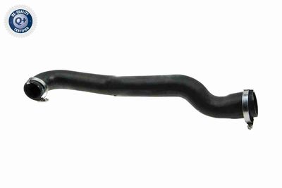 FURTUN EAR SUPRAALIMENTARE