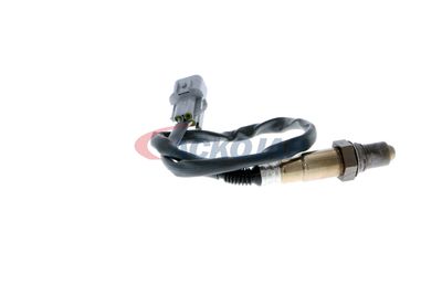 SONDA LAMBDA ACKOJA A53760007 42