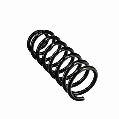 ARC SPIRAL EIBACH R11075 11