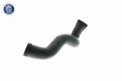 LADELUFTSCHLAUCH VAICO V103141 4