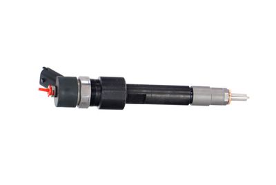 INJECTOR REMANTE 002003001695R 39