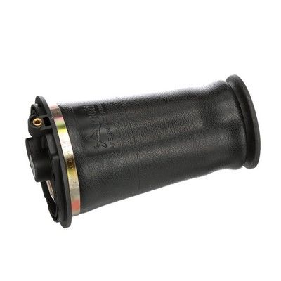 LUFTFEDER FAHRWERK Arnott A2612 64