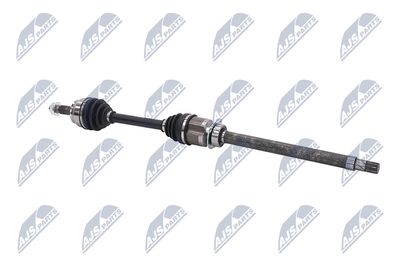 PLANETARA NTY NPWFT045 26