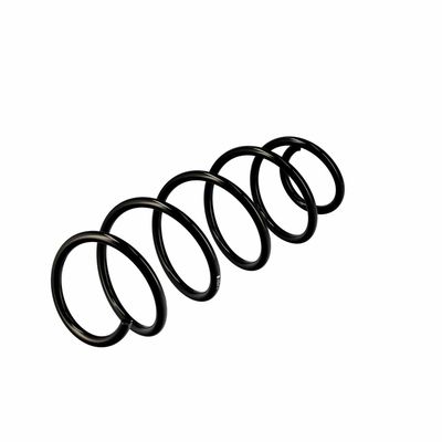 ARC SPIRAL EIBACH R10079 4