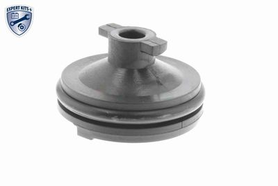 VERSCHLUSSSCHRAUBE ÖLWANNE VAICO V251116 6