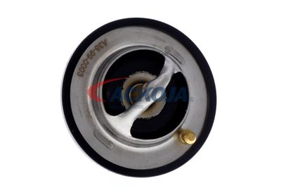 TERMOSTAT LICHID RACIRE ACKOJA A38990003 22