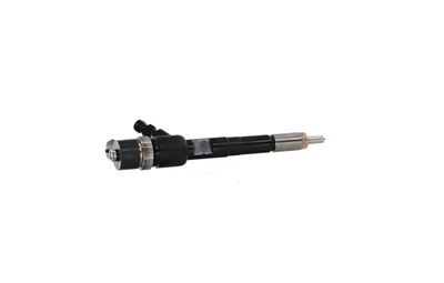 INJECTOR REMANTE 002003001716R 35