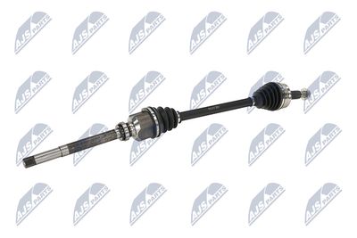 PLANETARA NTY NPWPE017 4