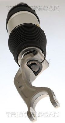 Luftfjederben TRISCAN 8720 81103