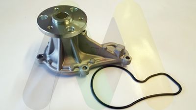 MOTAQUIP LVWP1032 Помпа (водяной насос)  для HONDA CR-V (Хонда Кр-в)