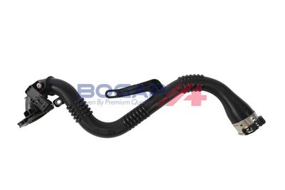 FURTUN EAR SUPRAALIMENTARE BOGAP R1711255 1