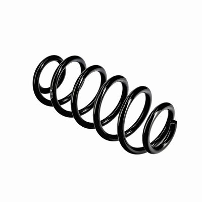 ARC SPIRAL EIBACH R10811 10