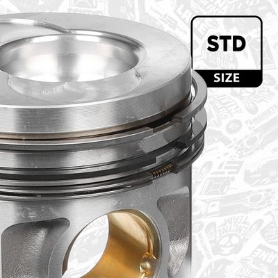 PISTON ET ENGINETEAM PM009500 2