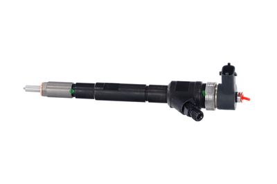 INJECTOR REMANTE 002003001196R 13