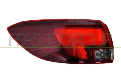 PRASCO Kombinuotas galinis žibintas