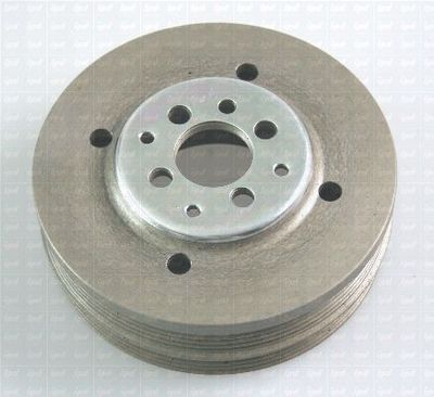 FULIE CUREA ARBORE COTIT IPD 157082 1