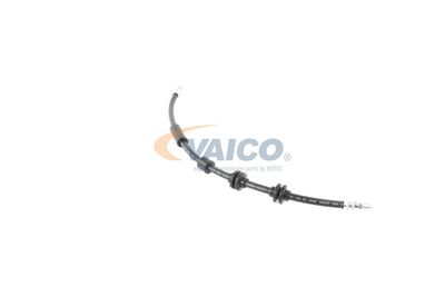 FURTUN FRANA VAICO V202640 33