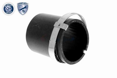 LADELUFTSCHLAUCH VAICO V103780 6