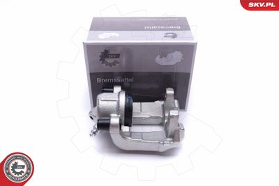 Brake Caliper 55SKV992