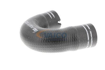 FURTUN EAR SUPRAALIMENTARE VAICO V240804 42