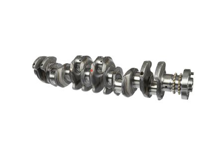 ARBORE COTIT ET ENGINETEAM HK0212 8