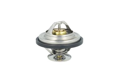 TERMOSTAT LICHID RACIRE NRF 725478 20