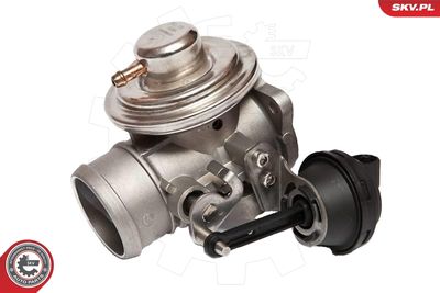 EGR Valve 14SKV026