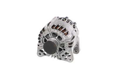 GENERATOR / ALTERNATOR REMANTE 011003000865R 64
