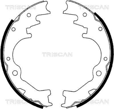 TRISCAN 8100 10035 Ремкомплект барабанных колодок  для KIA PREGIO (Киа Прегио)