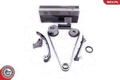 Timing Chain Kit 21SKV194