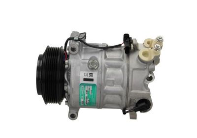 COMPRESOR CLIMATIZARE BV PSH 090455020310 1