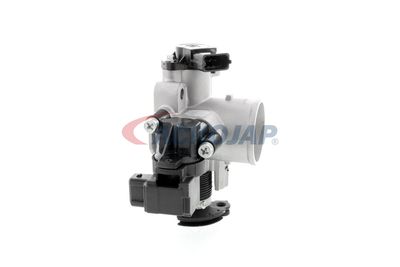 CARCASA CLAPETA ACKOJA A53810002 52