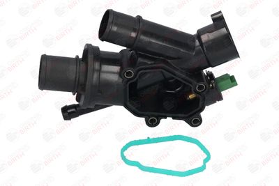 FLANSA LICHID RACIRE BIRTH 8889 7