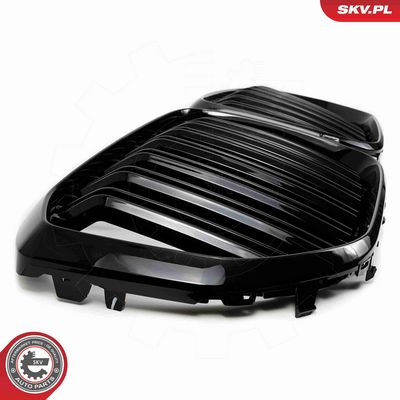 GRILA RADIATOR ESEN SKV 66SKV303 5