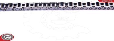 Timing Chain Kit 21SKV208