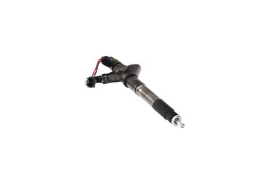 INJECTOR REMANTE 002003001324R 49