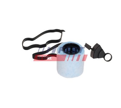 SEPARATOR ULEI VENTILATIE BLOC MOTOR FAST FT04337 1