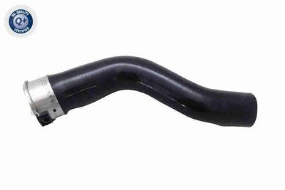 FURTUN EAR SUPRAALIMENTARE