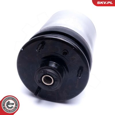 Pneumatinės spyruoklės statramstis