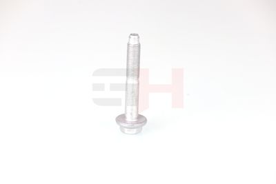 SURUB CAPAT DE AX GH GH392528 18