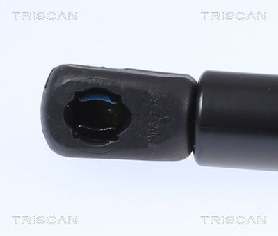 Kaasujousi, konepelti TRISCAN 8710 81101