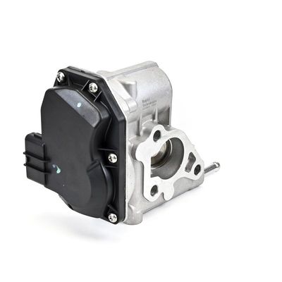 SUPAPA EGR DELPHI EG1062412B1 22